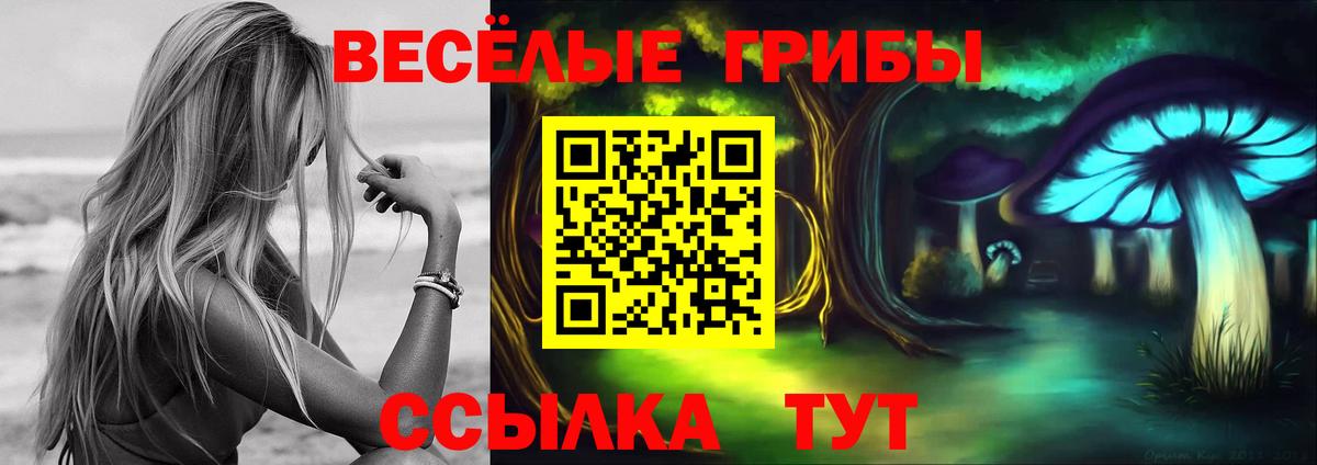 Александров  Псилоцибиновые грибы мухоморы  Вход с VPN 